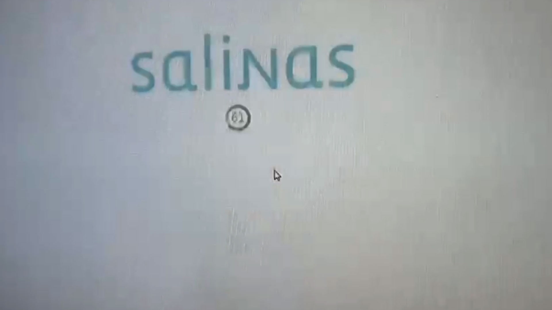 Quadro do case Salinas